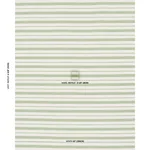 Schumacher 84272 Serra Mesa Indoor/Outdoor Stripe Verde fabric swatch