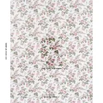 Schumacher 182080 Sibyl Chintz Rose fabric swatch