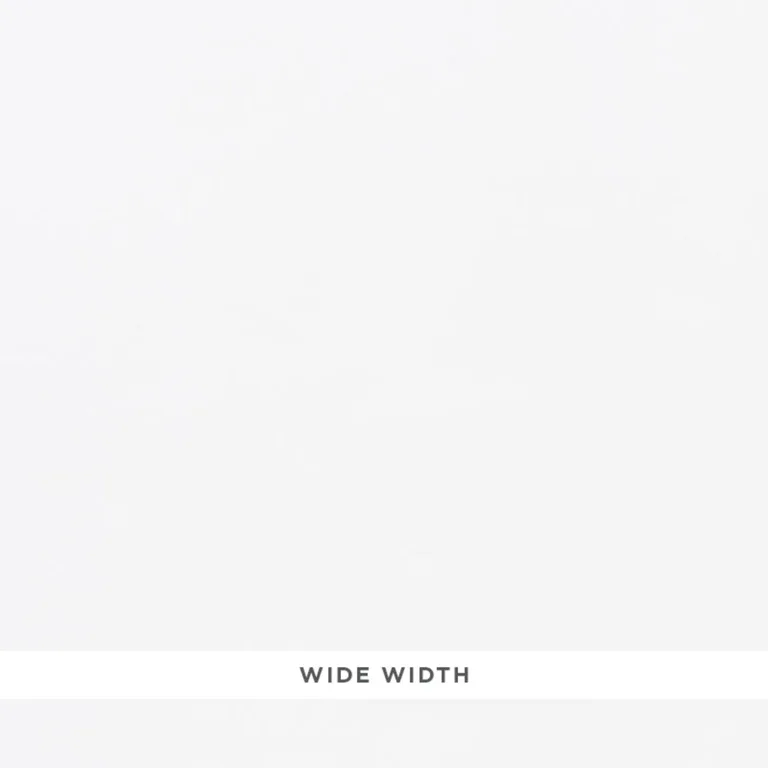 Schumacher 70920 Siracusa Sheer Indoor/Outdoor Blanc fabric swatch