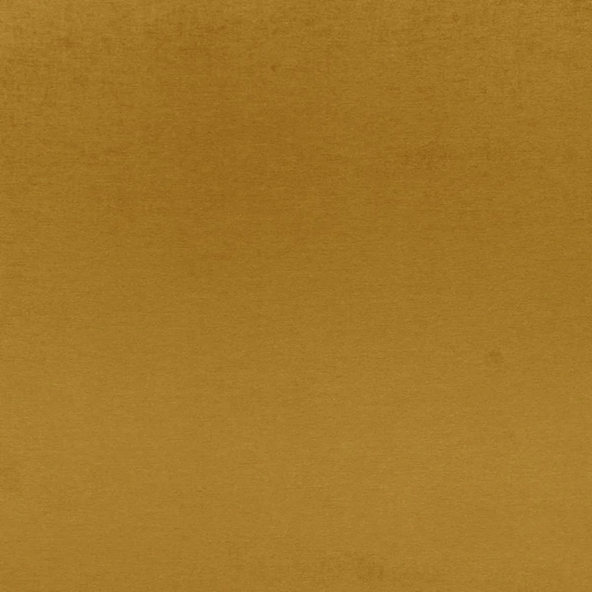 68124 Sophia Velvet Brass Fabric