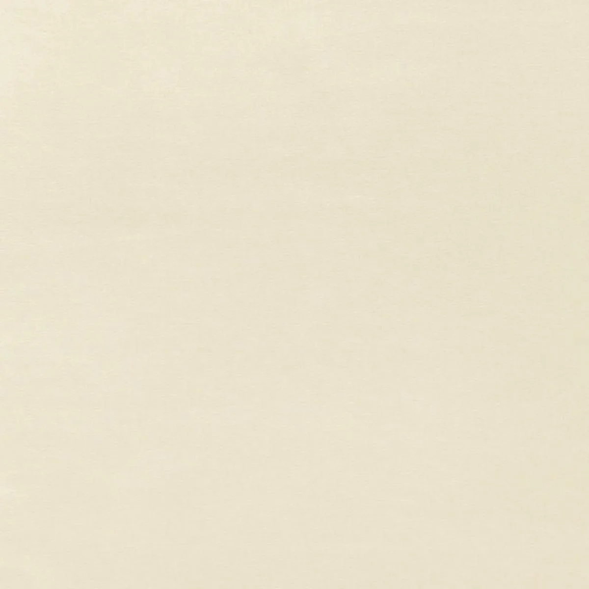 68111 Sophia Velvet Champagne Fabric