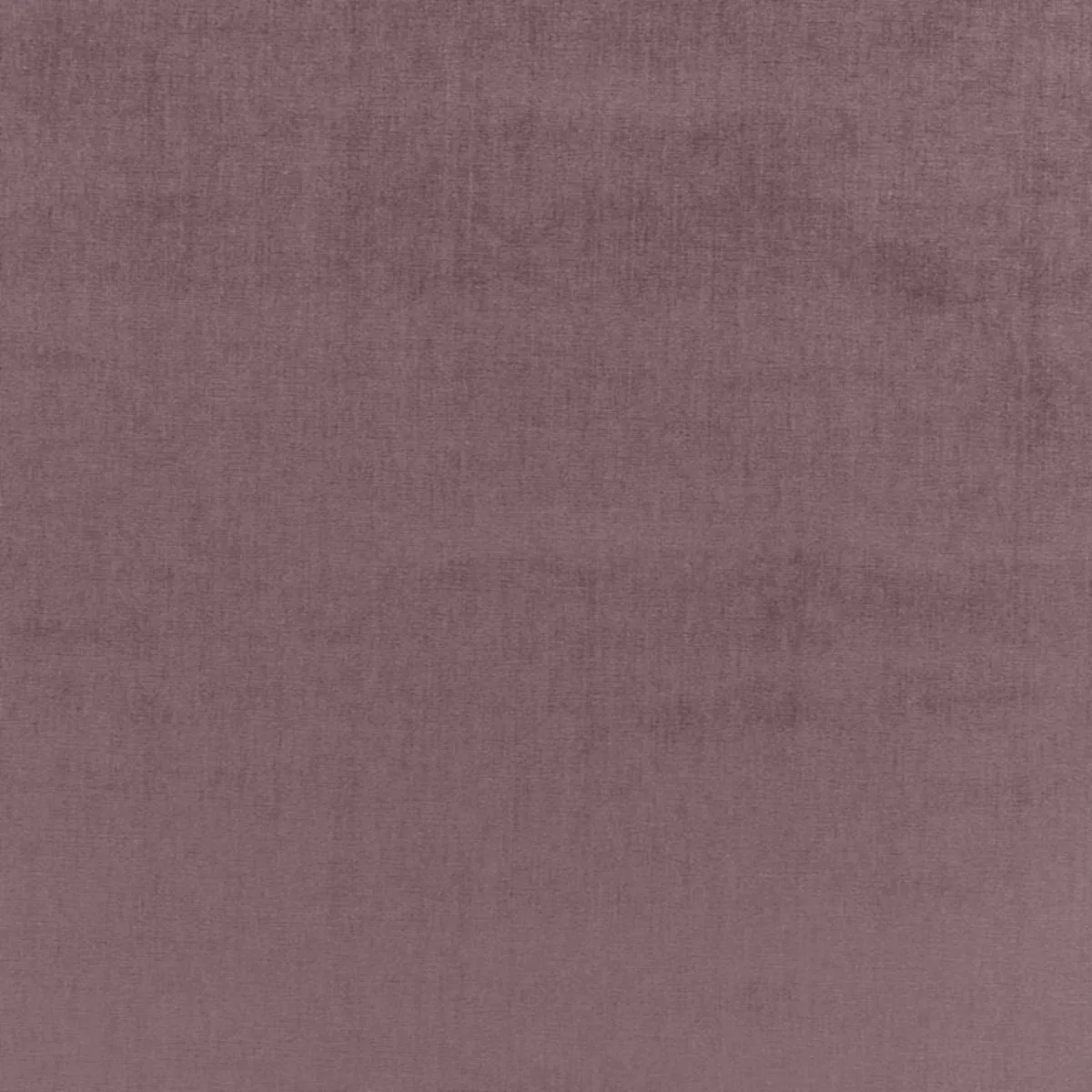 Schumacher 68167 Sophia Velvet French Lilac fabric swatch