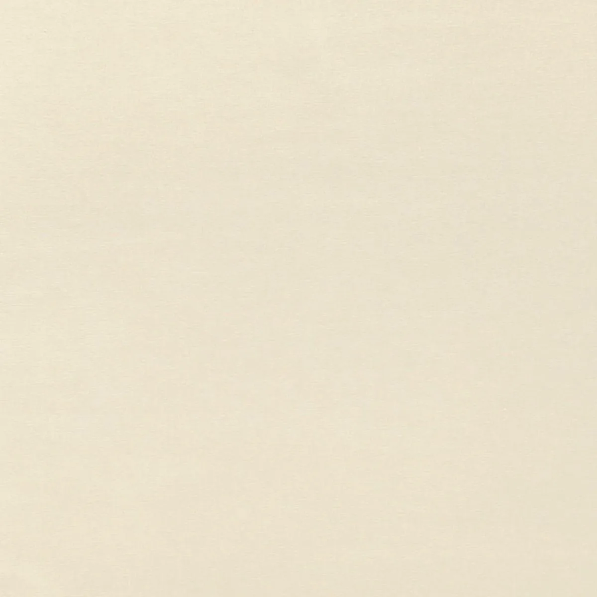 68116 Sophia Velvet Limestone Fabric
