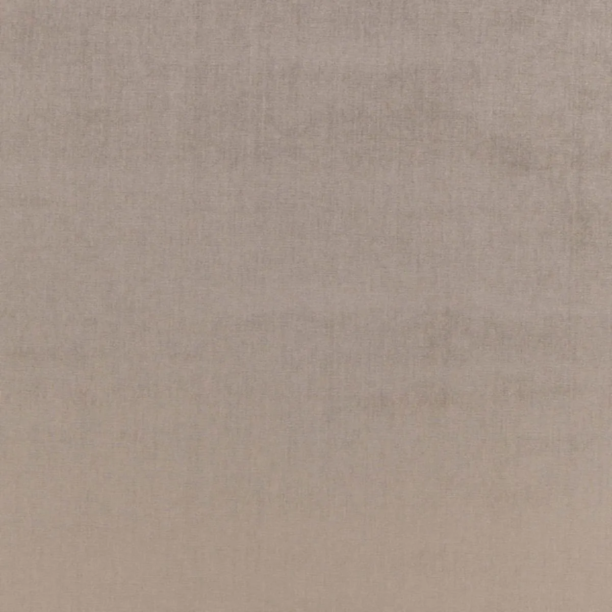 Schumacher 68163 Sophia Velvet Nickel fabric swatch