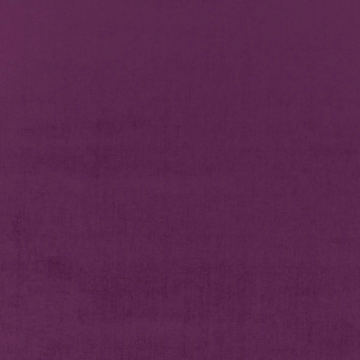 Schumacher 68171 Sophia Velvet Parma fabric swatch