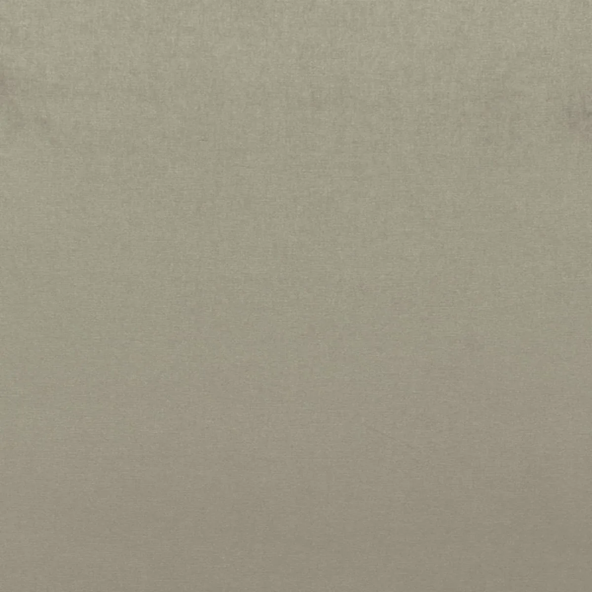 Schumacher 68159 Sophia Velvet Pebble fabric swatch
