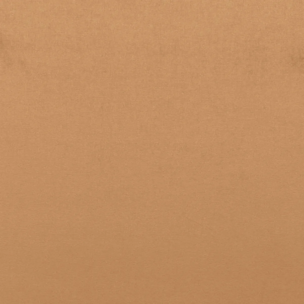 68138 Sophia Velvet Praline Fabric