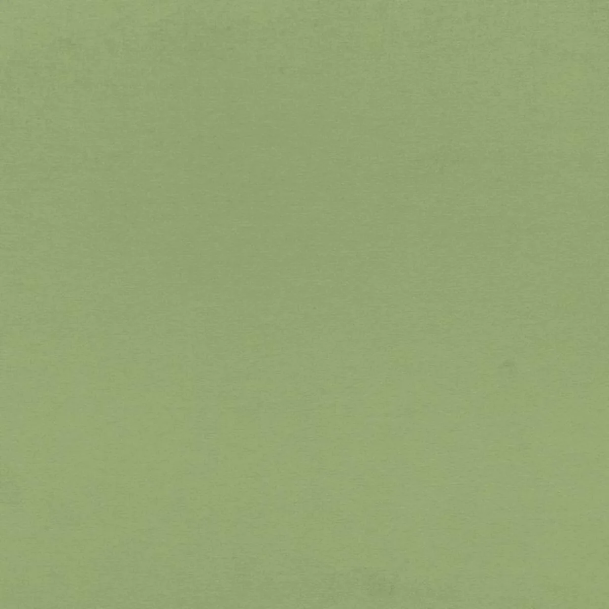 Schumacher 68193 Sophia Velvet Willow fabric swatch