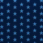 Schumacher 77421 Star éPinglé Blue fabric swatch