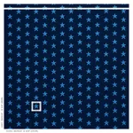 Schumacher 77421 Star éPinglé Blue fabric swatch