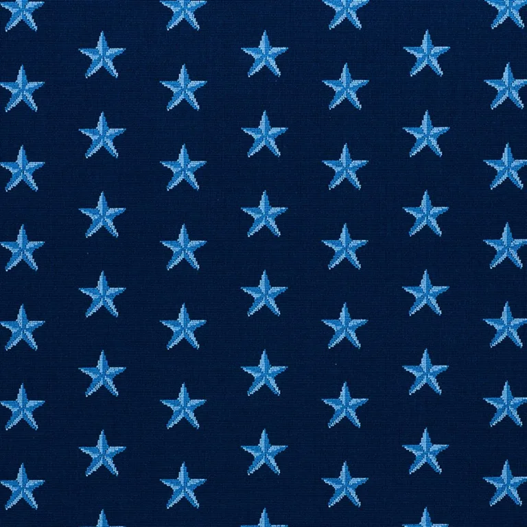 Schumacher 77421 Star éPinglé Blue fabric swatch