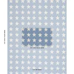 Schumacher 87601 Starfield Appliqué Sky fabric swatch