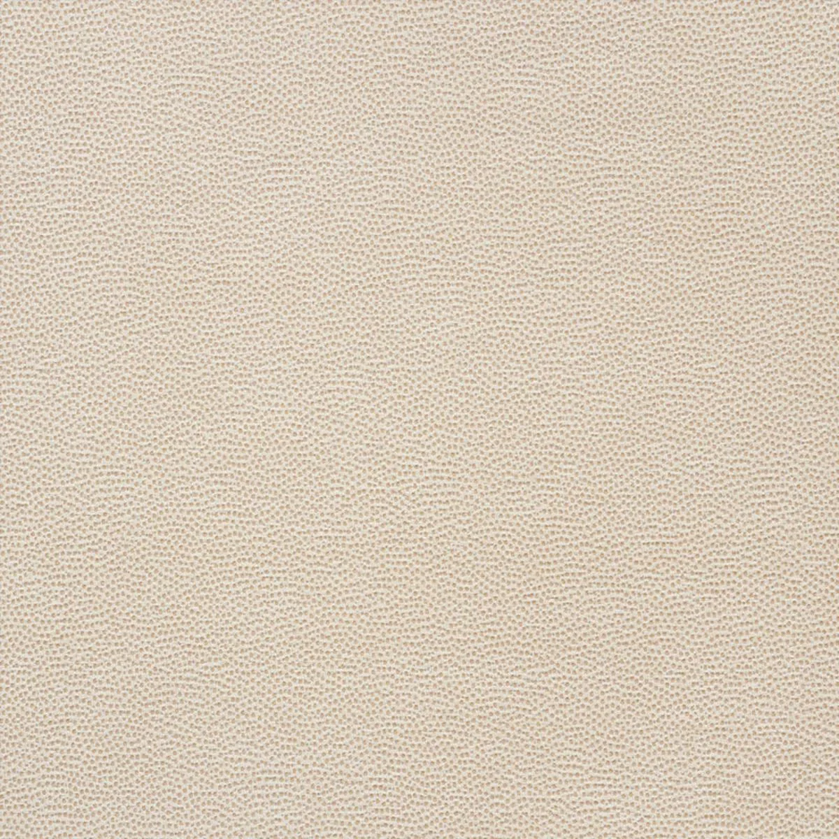 Schumacher 75200 Stingray Champagne fabric swatch