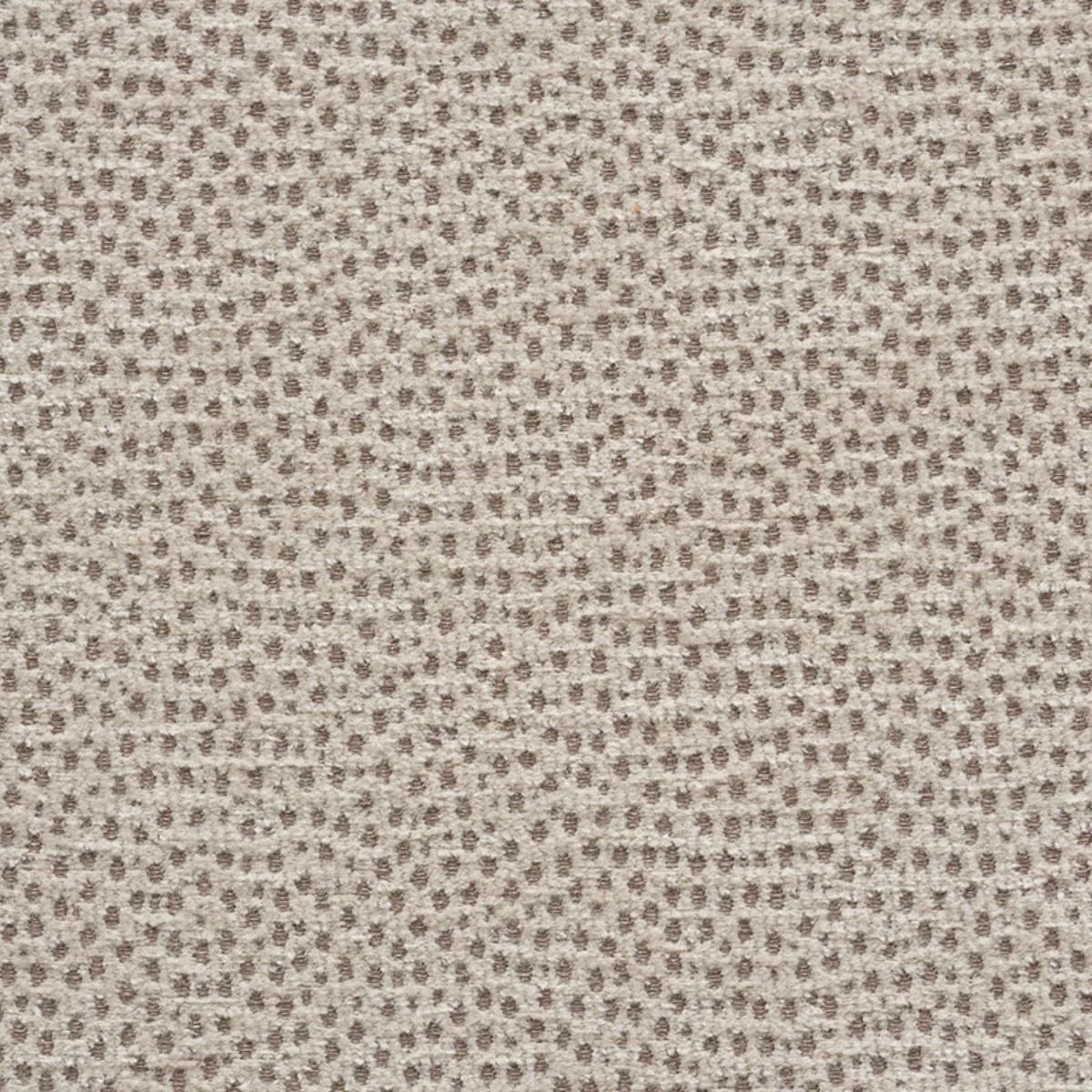 Schumacher 75202 Stingray Zinc fabric swatch