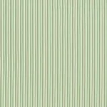 Schumacher 71740 Stitched Stripe Indoor/Outdoor Green fabric swatch