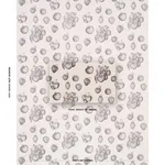 Schumacher TL400080 Strawberry Fields Graphite fabric swatch