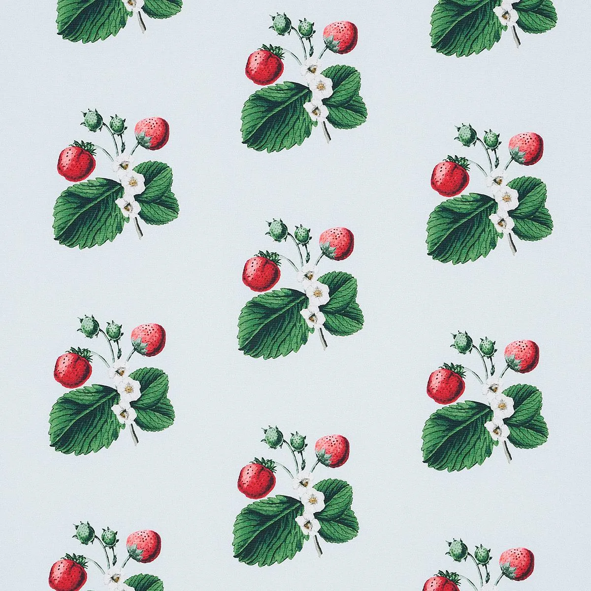 Schumacher 180641 Strawberry Hill Sky fabric swatch