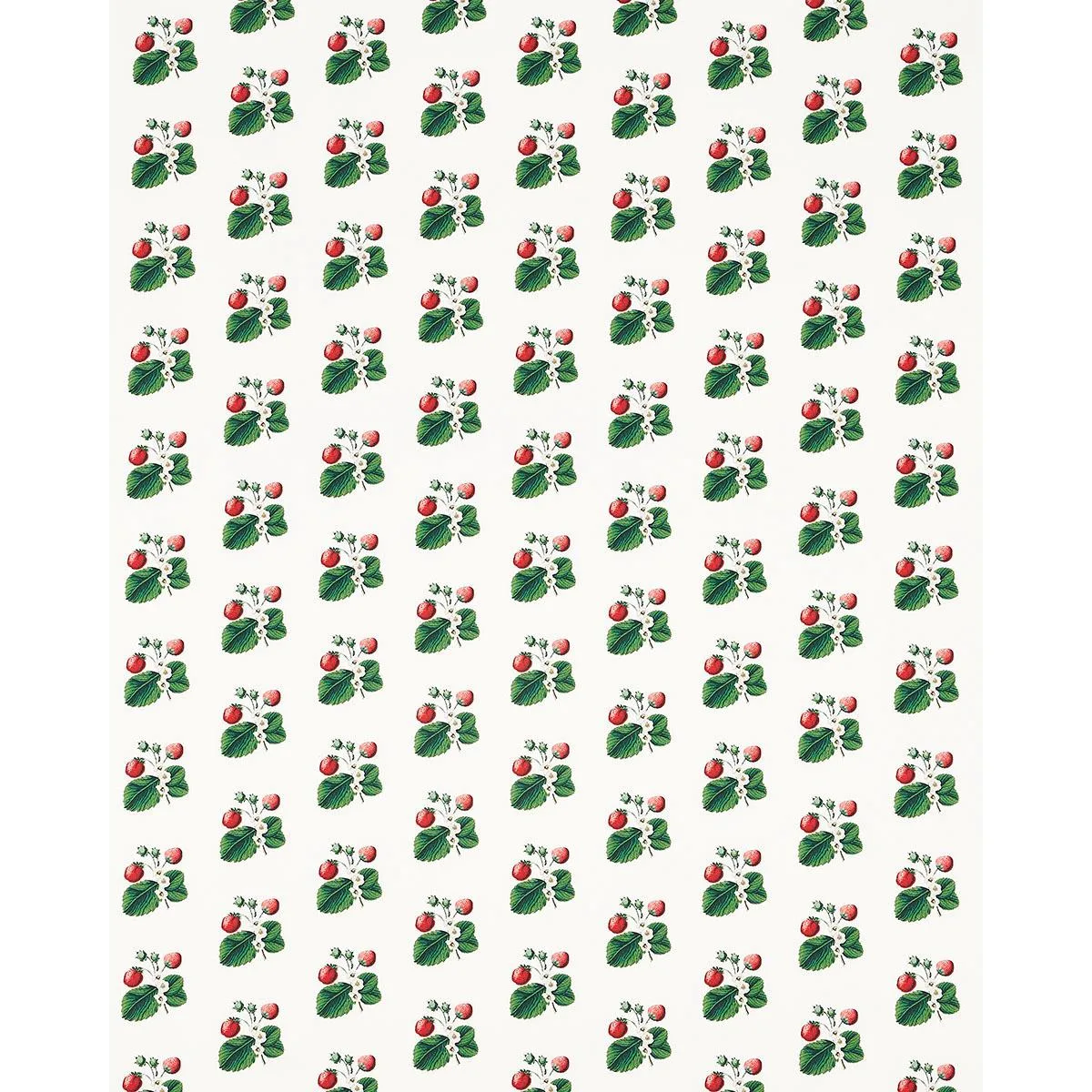 Schumacher 180640 Strawberry Hill White fabric swatch