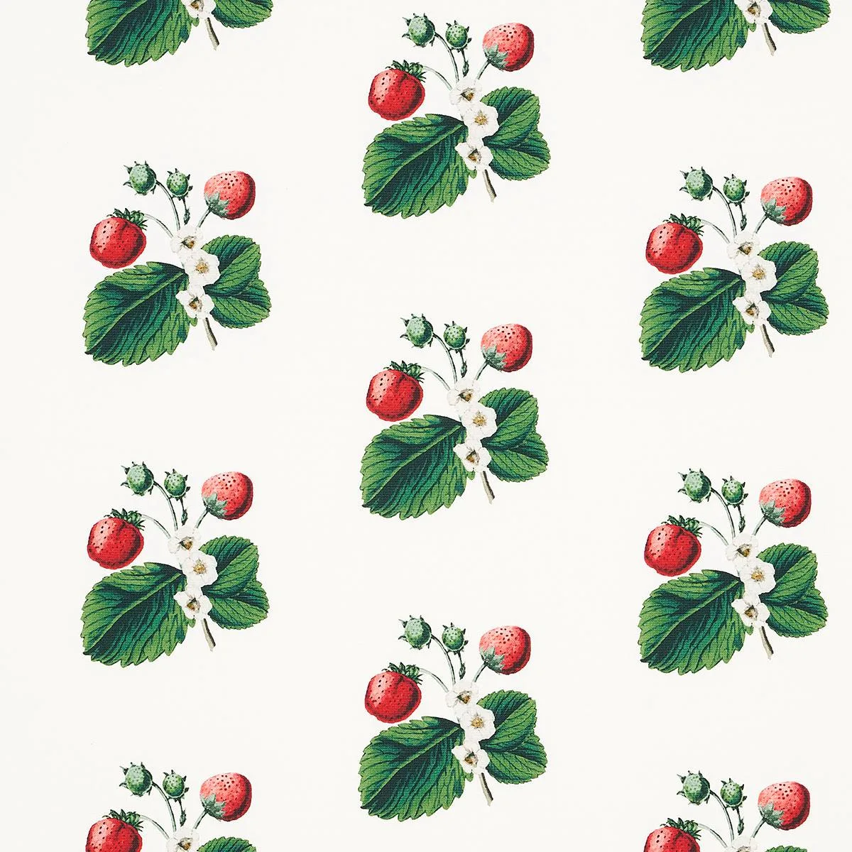Schumacher 180640 Strawberry Hill White fabric swatch