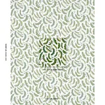 Schumacher 182210 Sugar Ann Indoor/Outdoor Green fabric swatch