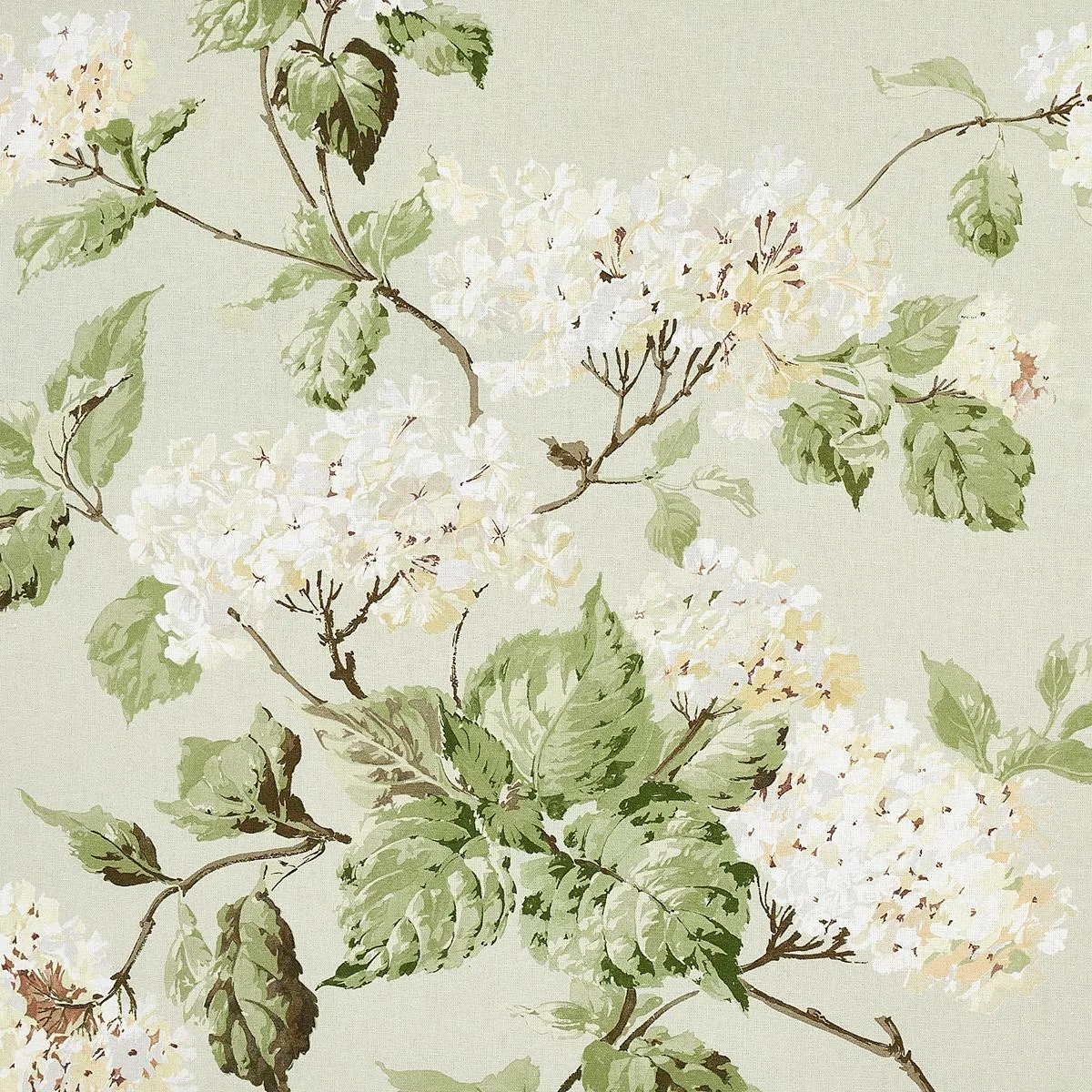 Schumacher 180820 Summer Hydrangea Celadon fabric swatch