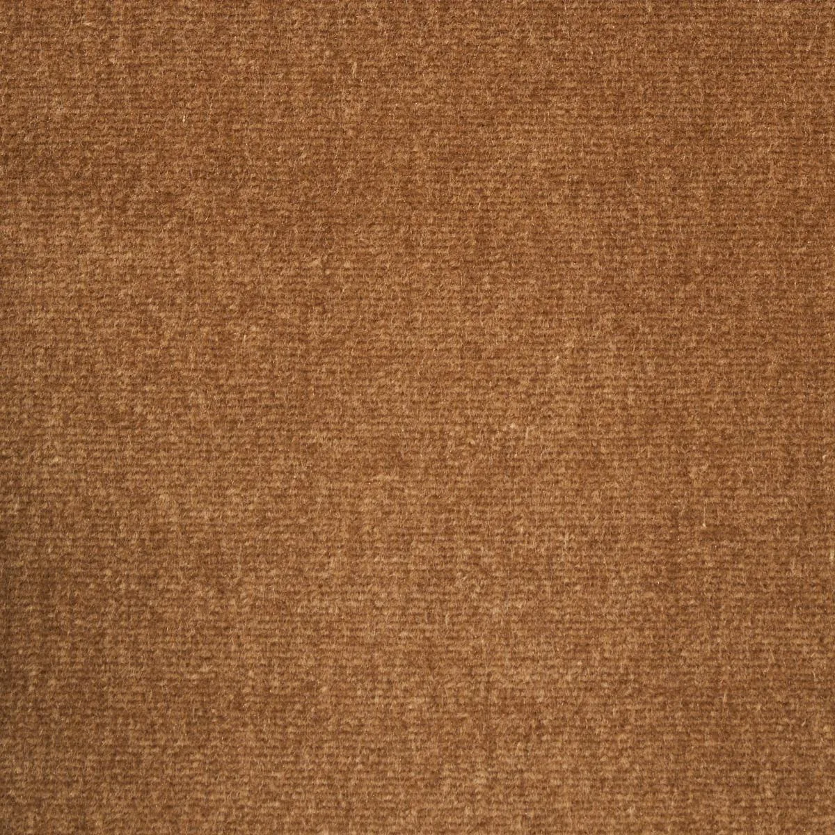 Schumacher 81891 Sumptuous Silk Wool Velvet Camel fabric swatch