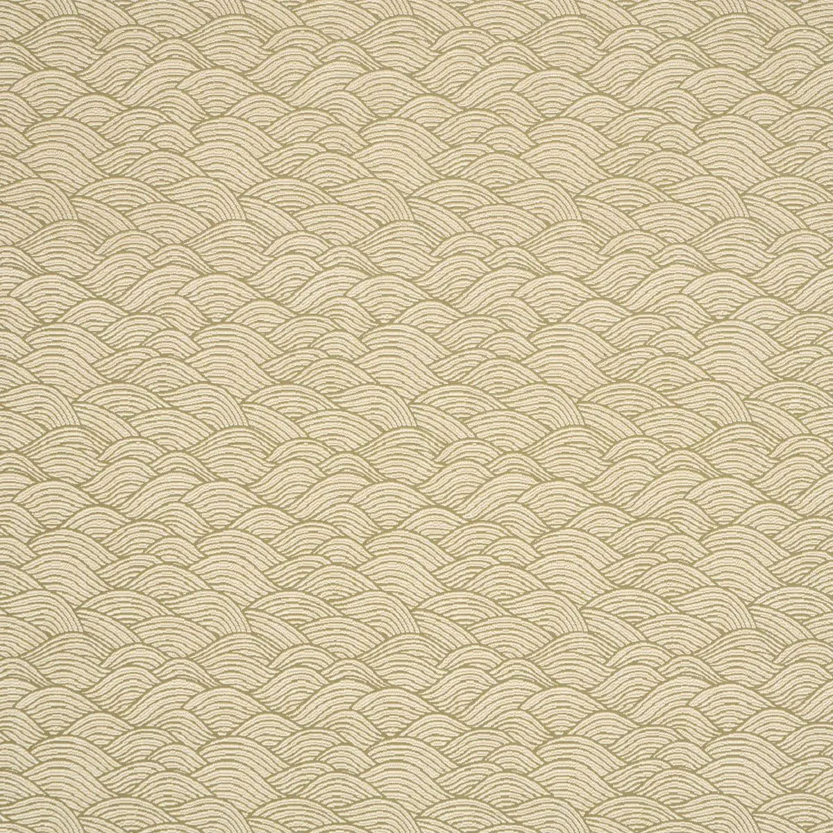 Schumacher 86541 Symphony Scallop Olive fabric swatch
