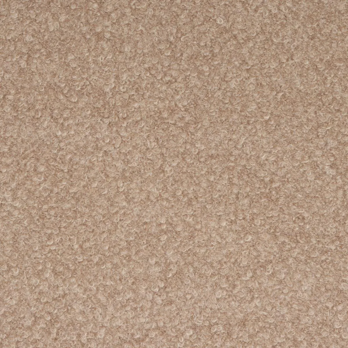 Schumacher 82062 Teddy Wool Bouclé Fawn fabric swatch