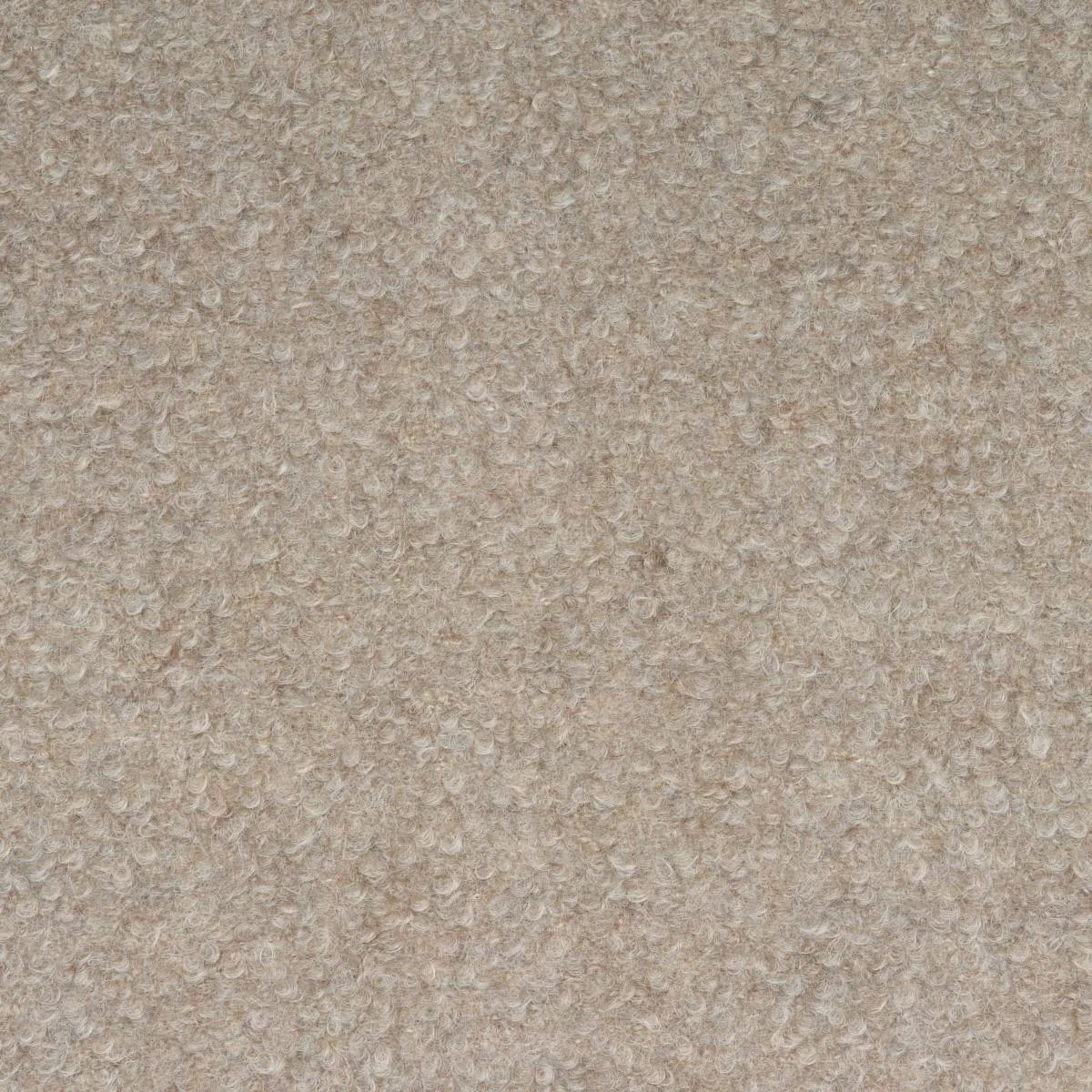 Schumacher 82060 Teddy Wool Bouclé Rabbit fabric swatch