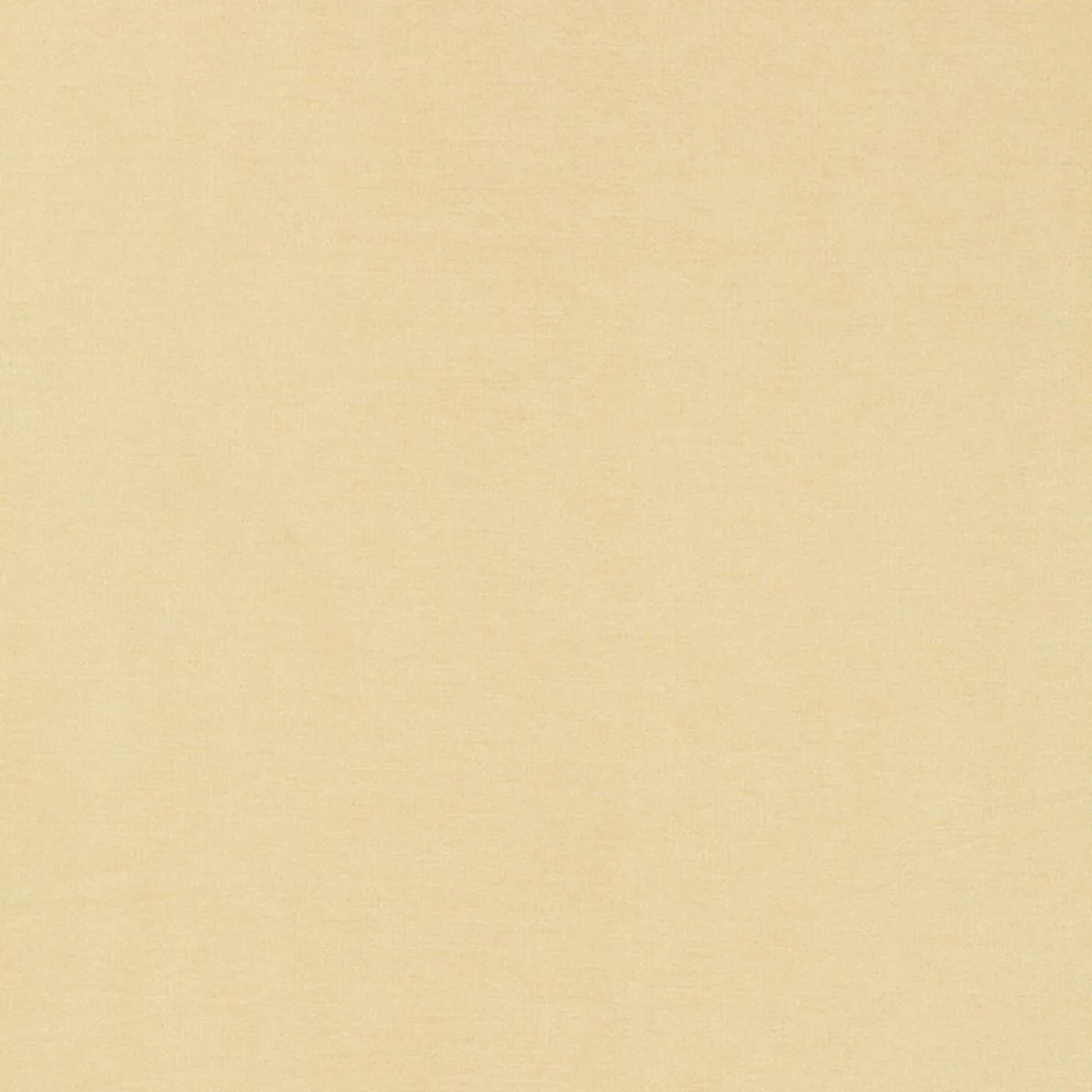 Schumacher 63841 Tiepolo Shantung Weave Bone fabric swatch