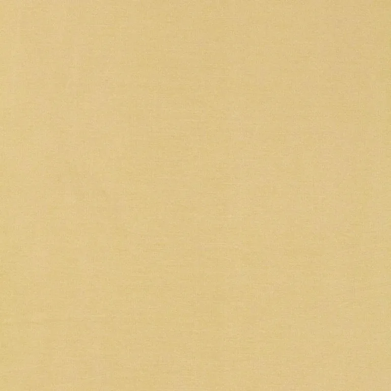 Schumacher 63843 Tiepolo Shantung Weave Champagne fabric swatch