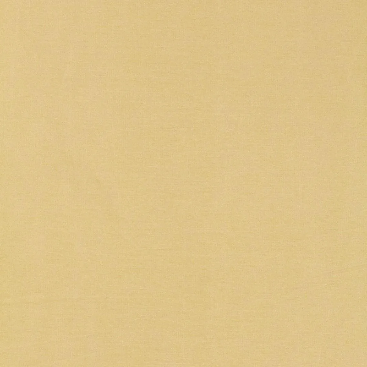 Schumacher 63843 Tiepolo Shantung Weave Champagne fabric swatch