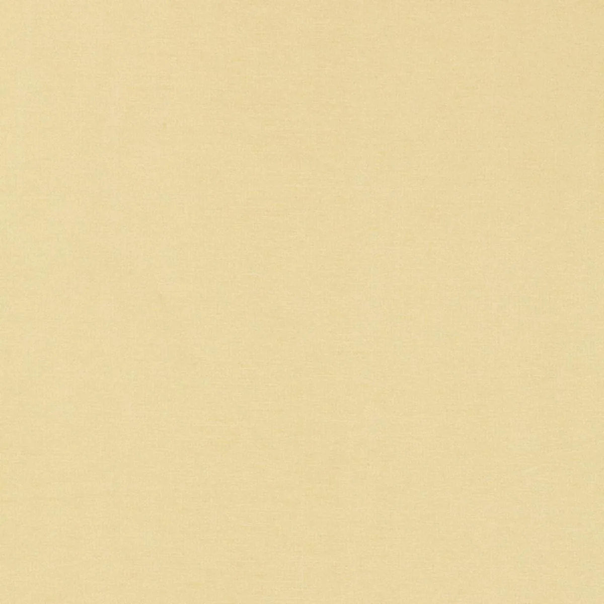 Schumacher 63842 Tiepolo Shantung Weave Ivory fabric swatch