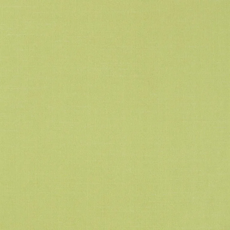 Schumacher 63866 Tiepolo Shantung Weave Limeade fabric swatch