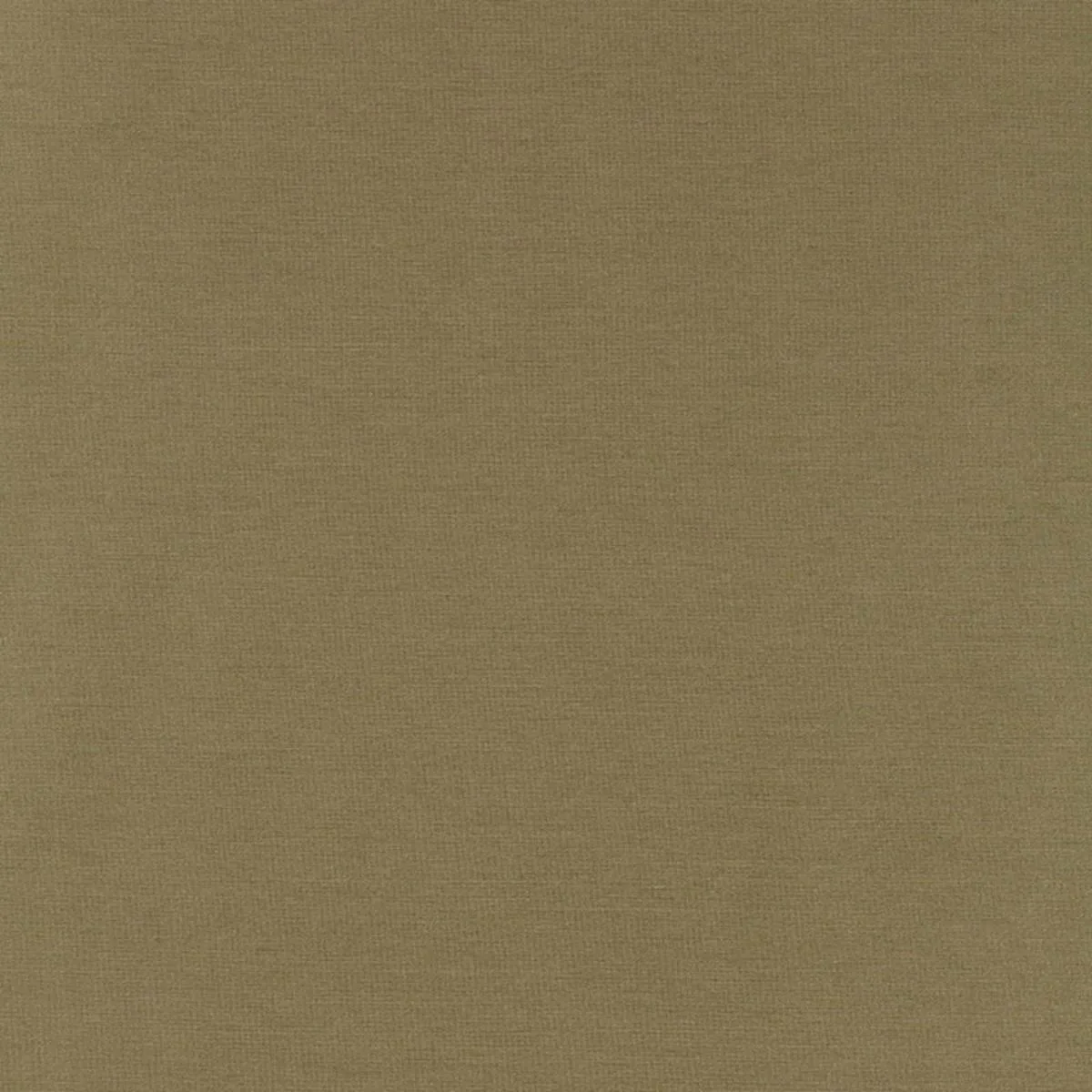 Schumacher 63867 Tiepolo Shantung Weave Sage fabric swatch