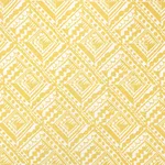 Schumacher 181490 Topsy Turvy Citron fabric swatch
