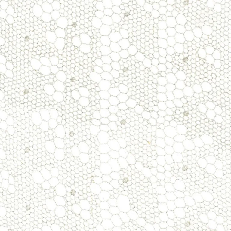 Schumacher 55490 Tracery Lace Sheer Silver fabric swatch