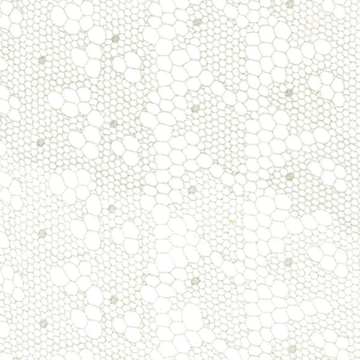 Schumacher 55490 Tracery Lace Sheer Silver fabric swatch