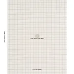 Schumacher 85922 Tucson Grid Aqua fabric swatch
