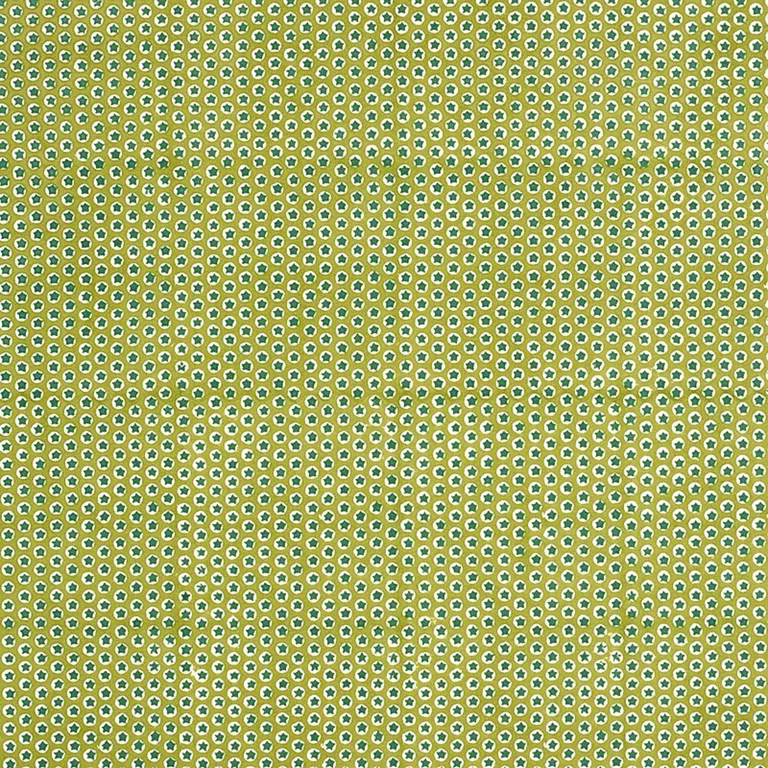 Schumacher 179223 Tuk Tuk Hand Block Print Green fabric swatch