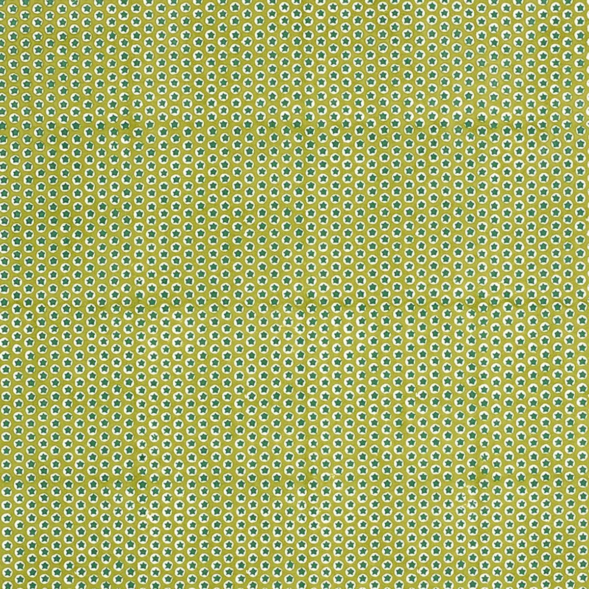 Schumacher 179223 Tuk Tuk Hand Block Print Green fabric swatch