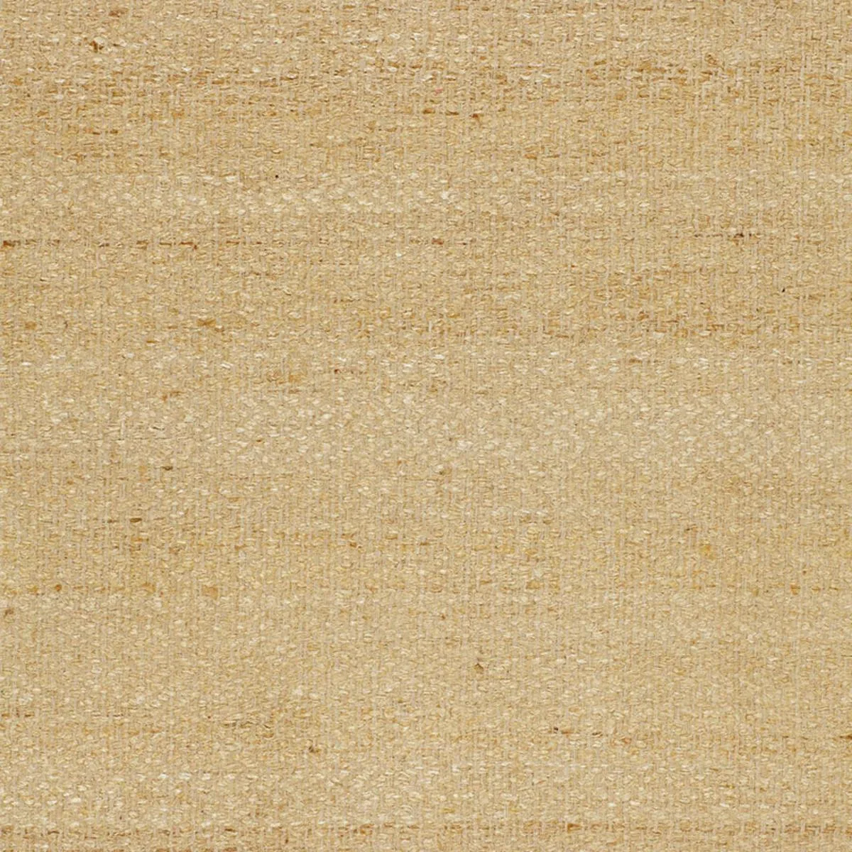 Schumacher 51791 Vasur Silk Matka Ivory fabric swatch