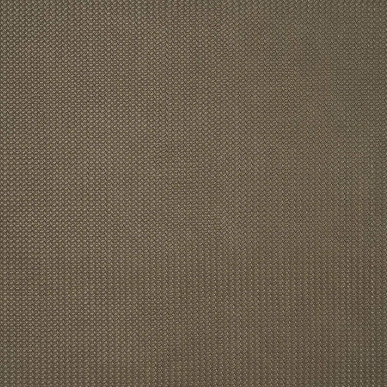 Schumacher 87802 Vegan Leather Rattan Indoor/Outdoor Ash fabric swatch