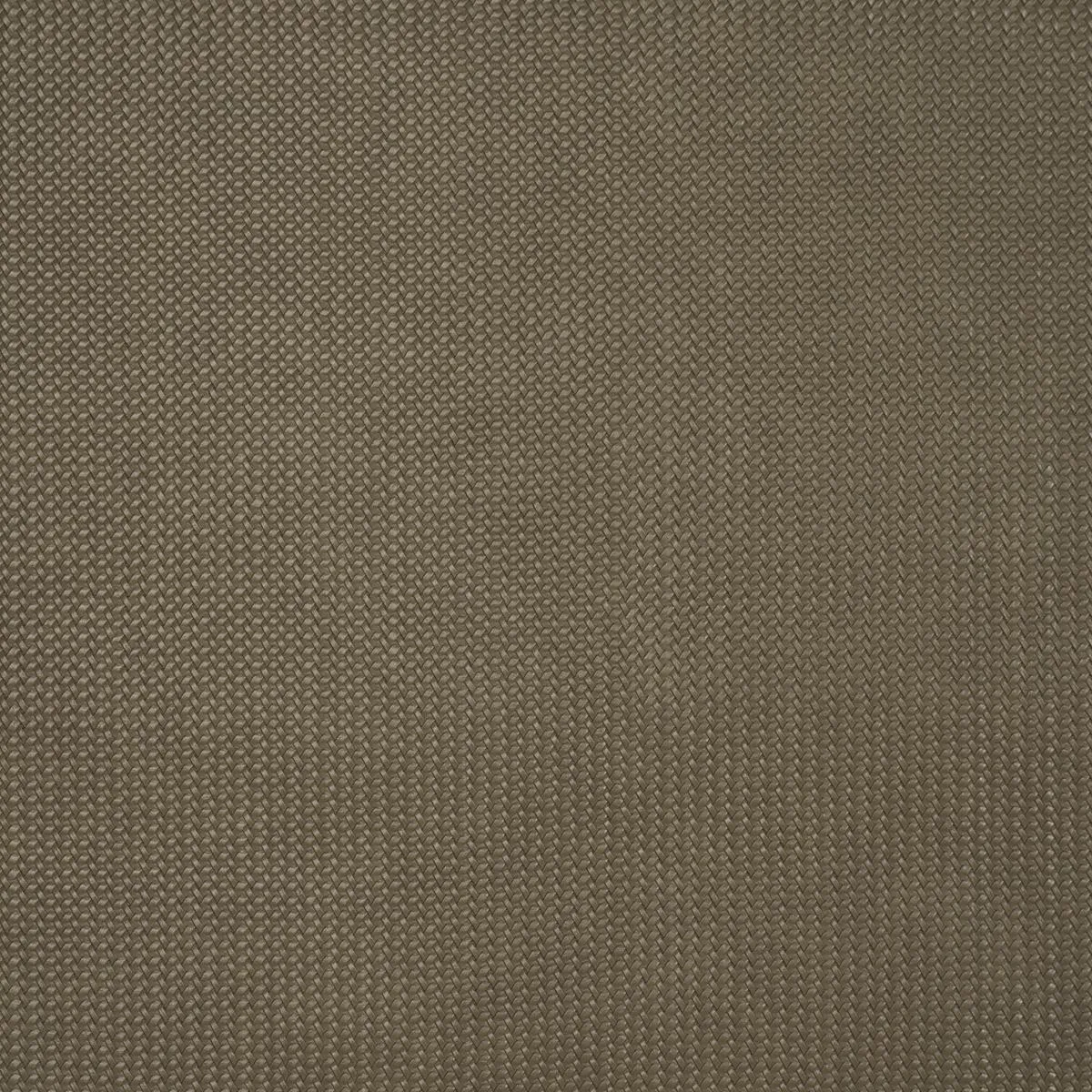 Schumacher 87802 Vegan Leather Rattan Indoor/Outdoor Ash fabric swatch