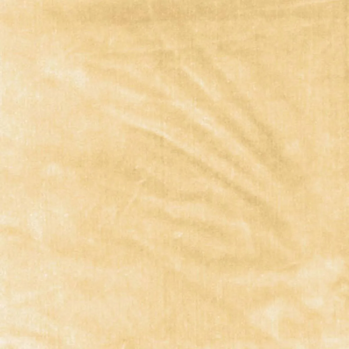 Schumacher 62730 Venetian Silk Velvet Champagne fabric swatch