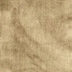 Schumacher 62733 Venetian Silk Velvet Chanterelle fabric swatch