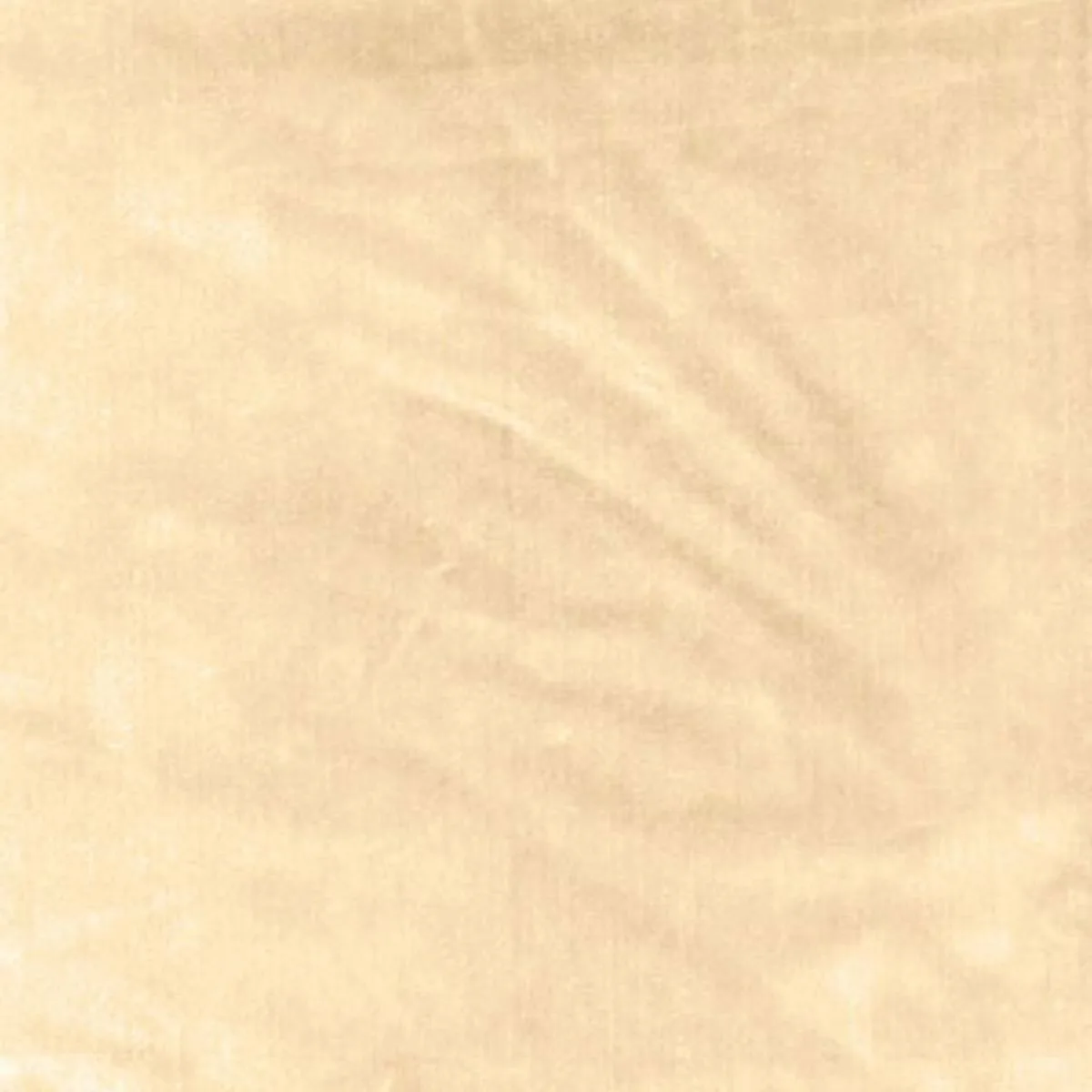 62731 Venetian Silk Velvet Doeskin Fabric