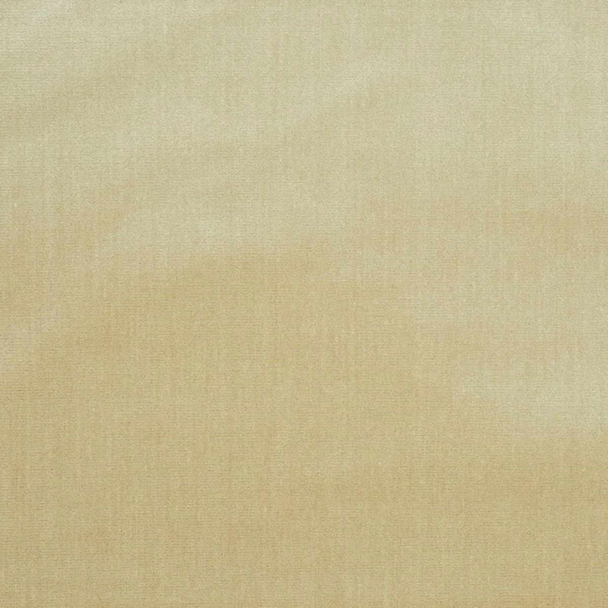 70422 Venetian Silk Velvet Oyster Fabric