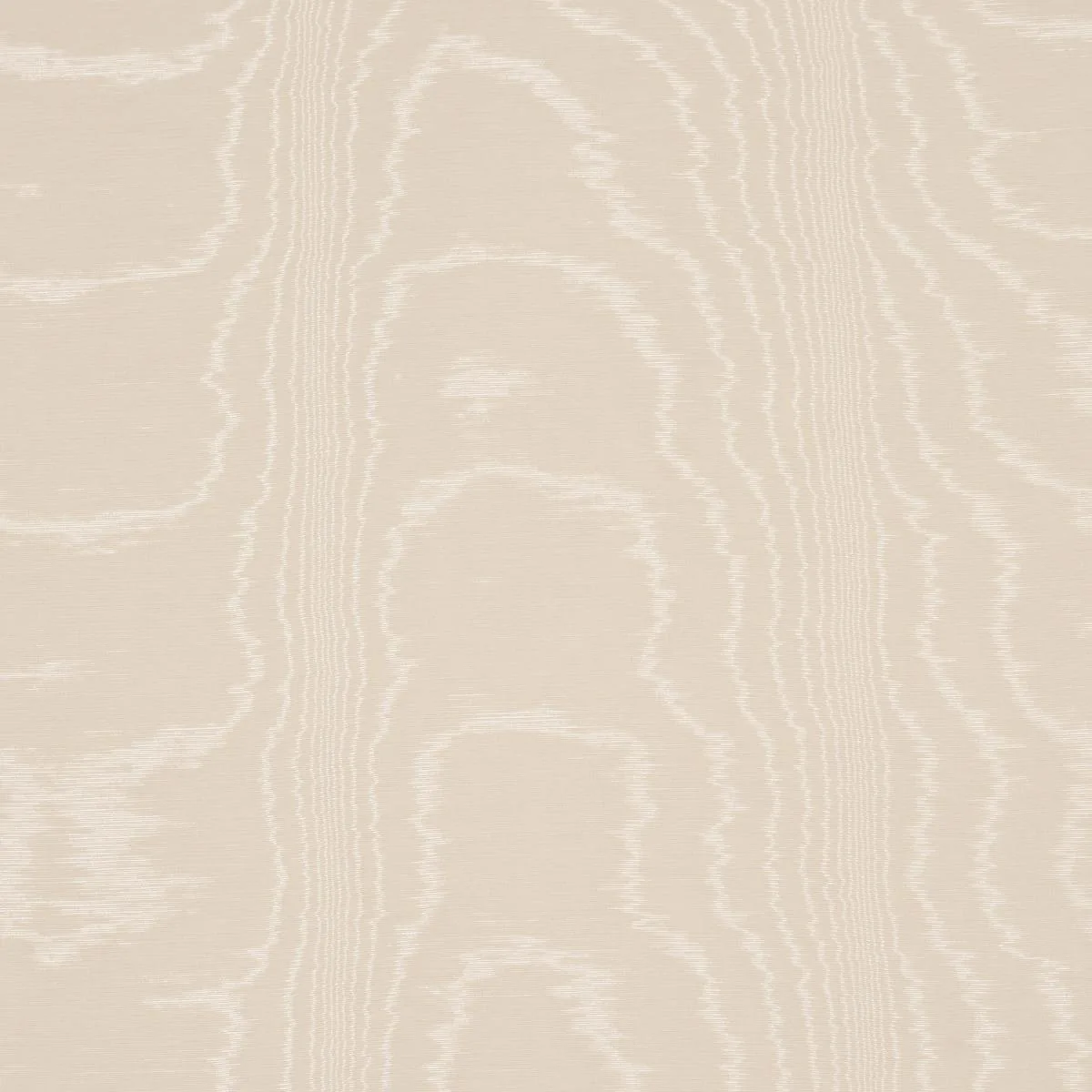 Schumacher 87104 Washington Moiré Vanilla fabric swatch