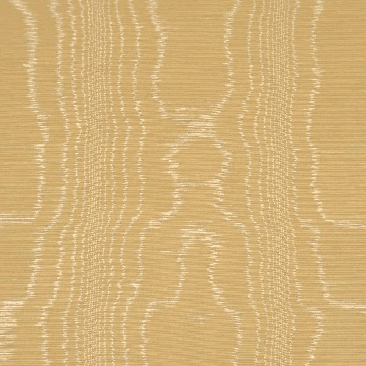 Schumacher 87107 Washington Moiré Yellow fabric swatch